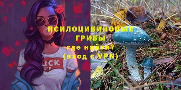 хмурый Абинск