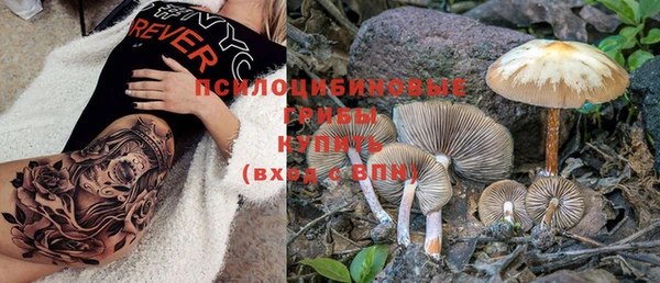 хмурый Абинск