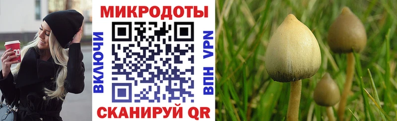 Галлюциногенные грибы прущие грибы  Краснозаводск 